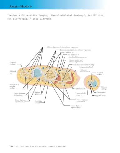 Image of - Netter's Correlative Imaging Musculoskeletal Anatomy | Hardcover