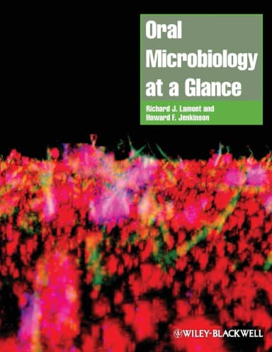 Image of - Oral Microbiology at a Glance | Paperback
