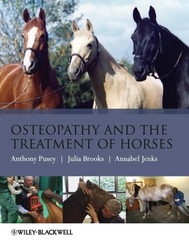 Image of - Osteopathy and the Treatment of Horses | Paperback