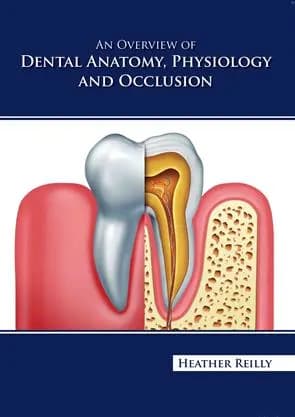 Image of - An Overview Of Dental Anatomy Physiology And Occlusion | Hardcover