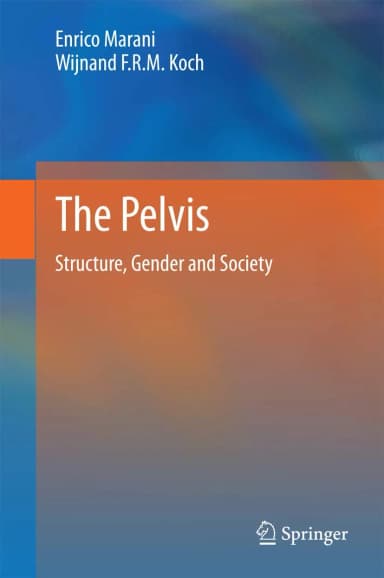 Image of - The Pelvis Structure | Gender and Society | Hardcover