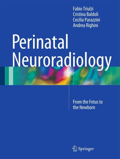 Image of - Perinatal Neuroradiology | Hardcover