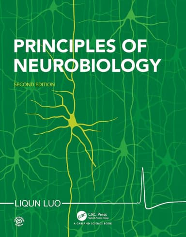 Image of - Principles Of Neurobiology 2nd Edition | Paperback