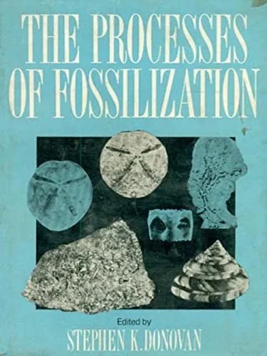 Image of - Processes of Fossilization