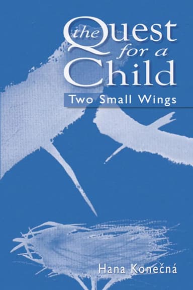Image of - The Quest for a Child Two Small Wings | Paperback