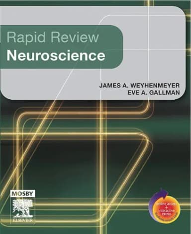 Image of - Rapid Review Neuroscience | Paperback