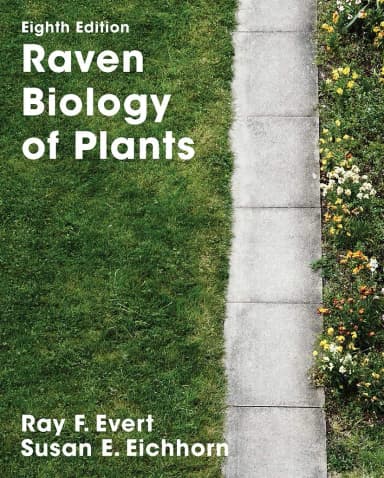 Image of - Raven Biology Of Plants 8th Edition | Hardcover