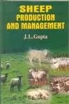 Image of - Sheep Production and Management | Hardcover
