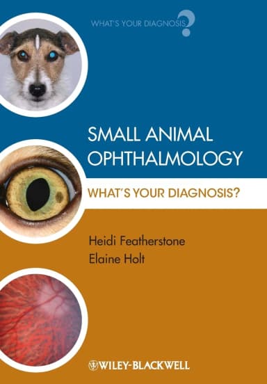 Image of - Small Animal Ophthalmology What's Your Diagnosis? | Paperback