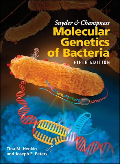 Image of - Snyder And Champness Molecular Genetics Of Bacteria 5th Editiond | Hardcover