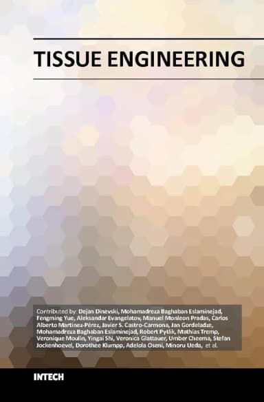 Image of - Tissue Engineering | Hardcover