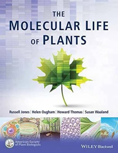 Image of - The Molecular Life Of Plants  | Paperback