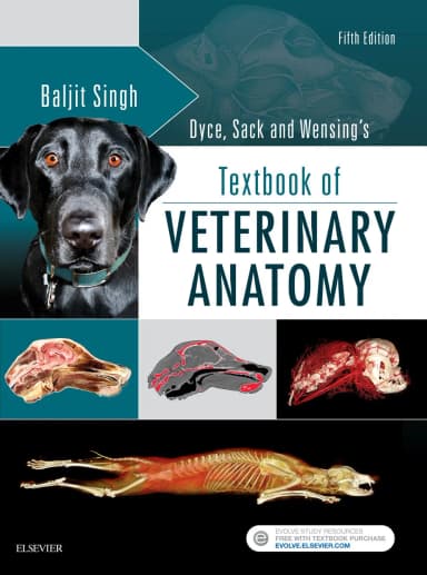 Image of - Dyce, Sack, and Wensing's Textbook of Veterinary Anatomy- 5th Edition