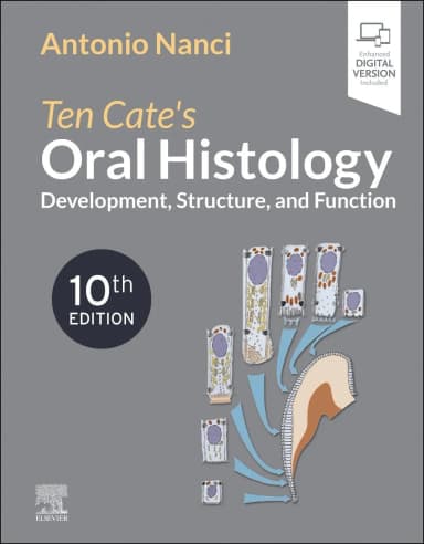 Image of - Ten Cate's Oral Histology: Development, Structure, and Function - 10th Edition