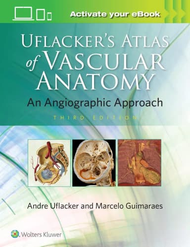 Image of - Uflackers Atlas of Vascular Anatomy An Angiographic Approach Third Edition | Hardcover