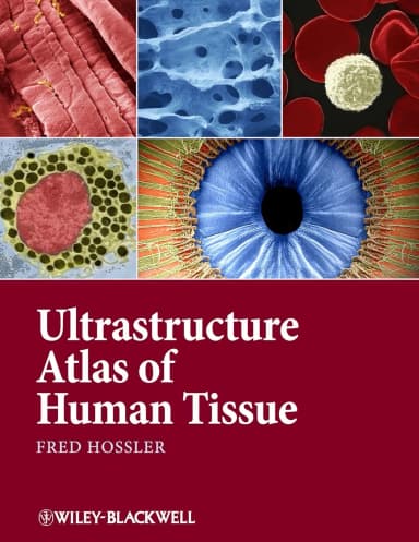 Image of - Ultrastructure Atlas of Human Tissues | Hardcover