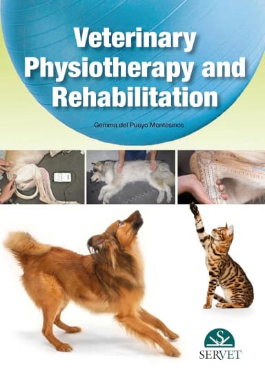 Image of - Veterinary Physiotherapy and Rehabilitation | Hardcover