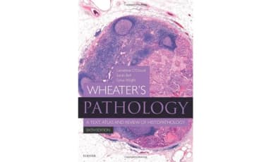 Image of - Wheater's Pathology A Text | Atlas and Review of Histopathology | 6th Edition | Paperback