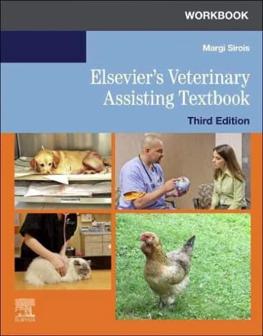 Image of - Workbook For Elseviers Veterinary Assisting Textbook Third Edition | Paperback