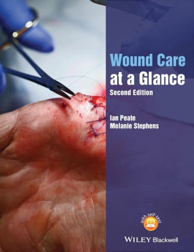 Image of - Wound Care At A Glance 2nd Edition | Paperback