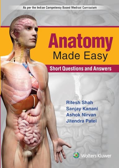 Image of - Anatomy Made Easy - 1E