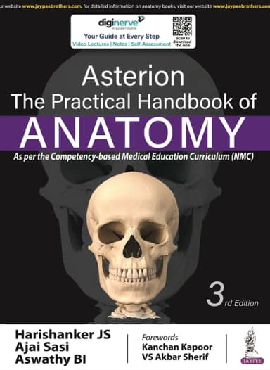 Image of - Asterion | The Practical Handbook of Anatomy