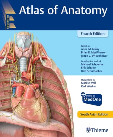 Image of - Atlas of Anatomy(SAE)-4E