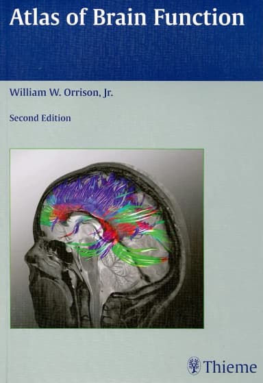 Image of - Atlas of Brain Function