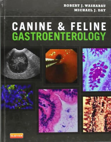 Image of - Canine and Feline Gastroenterology