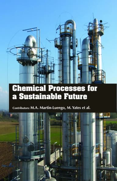 Image of - Chemical Processes For A Sustainable Future (HB 2017)