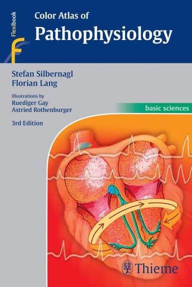 Image of - Color Atlas of Pathophysiology 3rd Edition