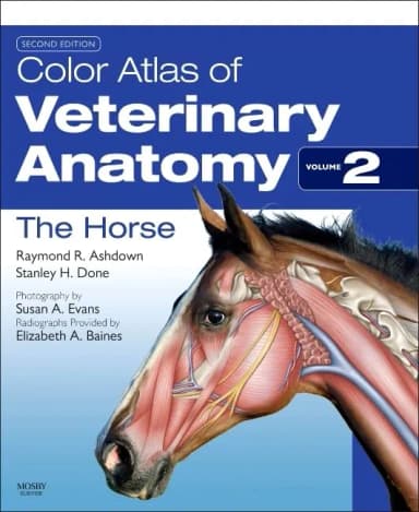 Image of - Color Atlas of Veterinary Anatomy, Volume 2, The Horse-2E