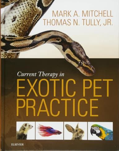 Image of - Current Therapy in Exotic Pet Practice - 1E