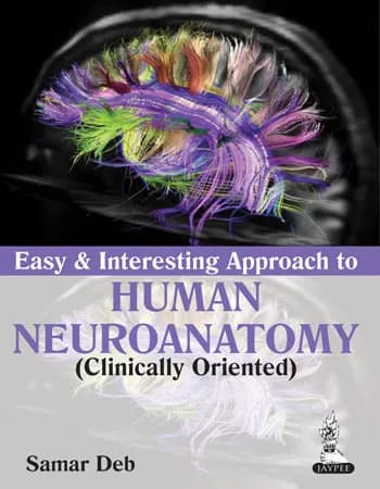 Image of - Easy and Interesting approach to Human Neuroanatomy - 1st Edition