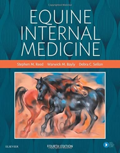 Image of - Equine Internal Medicine - 4E