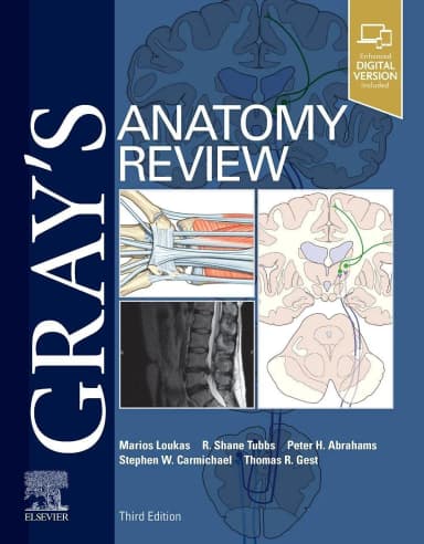 Image of - Gray's Anatomy Review-3ED