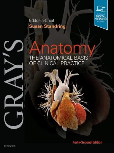 Image of - Gray's Anatomy: The Anatomical Basis of Clinical Practice - 42E