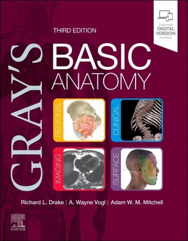 Image of - Gray's Basic Anatomy-3E