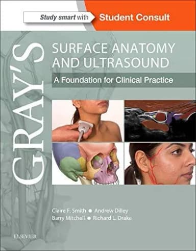 Image of - Gray�s Surface Anatomy and Ultrasound A Foundation for Clinical Practice - 1st Edition