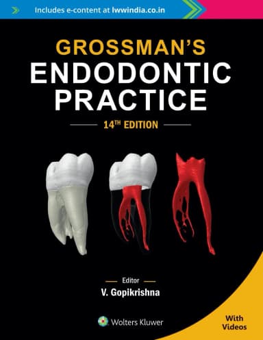Image of - Grossmans Endodontic Practice - 14E