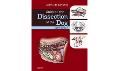 Image of - Guide to the Dissection of the Dog - 8E