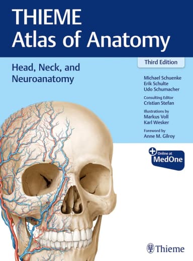 Image of - Head, Neck, and Neuroanatomy (THIEME Atlas of Anatomy) 3rd Ed.