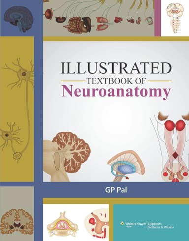 Image of - Illustrated Textbook of Neuroanatomy