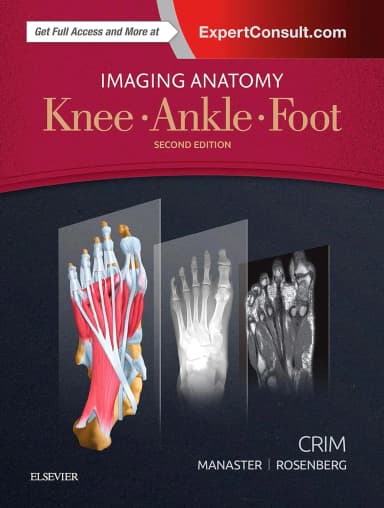Image of - Imaging Anatomy: Knee, Ankle, Foot - 2E
