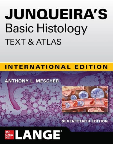 Image of - Junqueira's Basic Histology:Text and at -17E