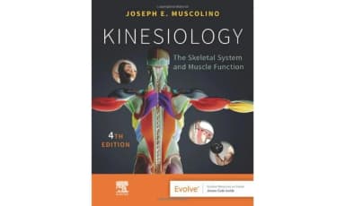 Image of - Kinesiology-4E