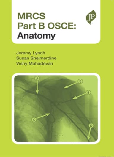 Image of - MRCS Part B OSCE