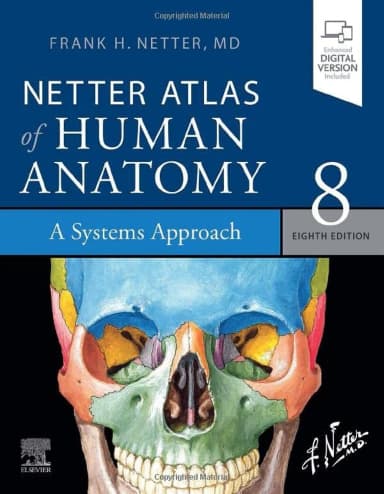 Image of - Netter Atlas of Human Anatomy: A Systems Approach-8E