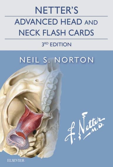 Image of - Netter's Advanced Head & Neck Flash Cards - 3E