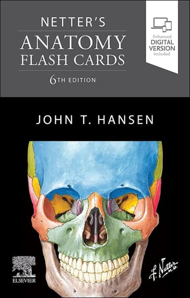 Thumbnail - Netters Anatomy Flash Cards - 6E
